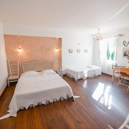 Domaine De Marseillens Bed & Breakfast Palaja Exterior photo
